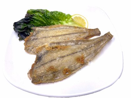 Gajami Gui